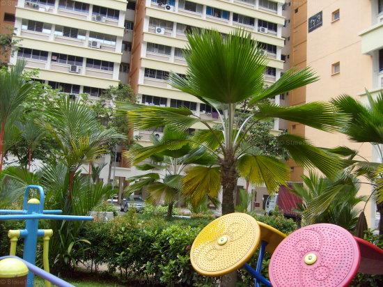 Blk 123 Mcnair Road (Kallang/Whampoa), HDB 3 Rooms #407412